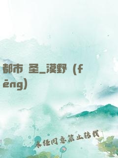 都市盜圣