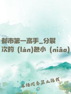 都市第一高手