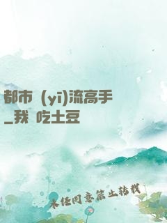 都市醫(yī)流高手