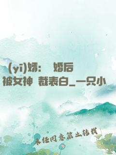 醫(yī)婿：離婚后被女神總裁表白