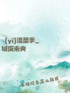 醫(yī)流圣手