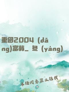 重回2004當(dāng)富翁