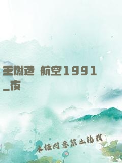 重燃造車航空1991