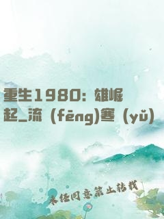 重生1980:梟雄崛起
