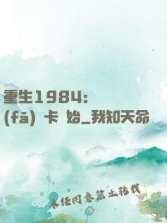重生1984：從開發(fā)漢卡開始