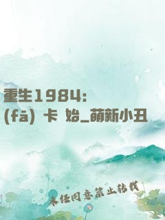 重生1984：從開發(fā)漢卡開始