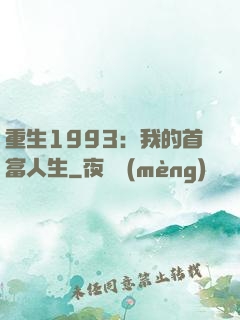 重生1993：我的首富人生