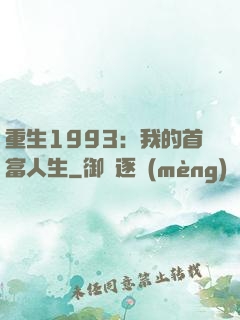重生1993：我的首富人生