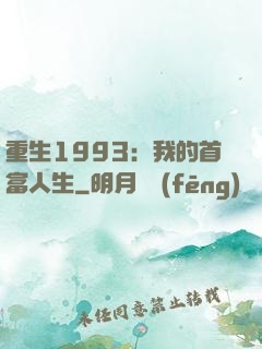 重生1993：我的首富人生