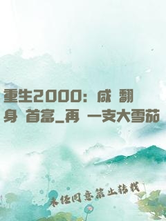 重生2000：咸魚翻身變首富