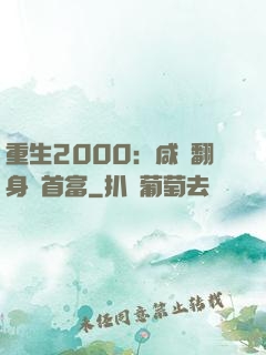 重生2000：咸魚翻身變首富