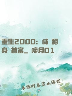 重生2000：咸魚翻身變首富