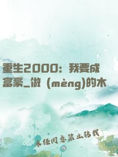 重生2000：我要成富豪