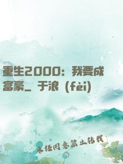重生2000：我要成富豪