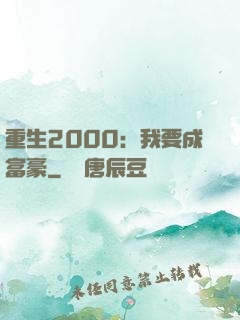 重生2000：我要成富豪