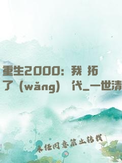 重生2000：我開拓了網(wǎng)絡時代