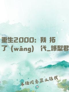 重生2000：我開拓了網(wǎng)絡時代