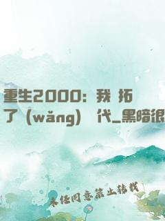 重生2000：我開拓了網(wǎng)絡時代