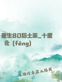 重生80后土豪