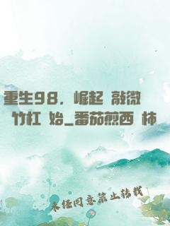 重生98，崛起從敲微軟竹杠開始