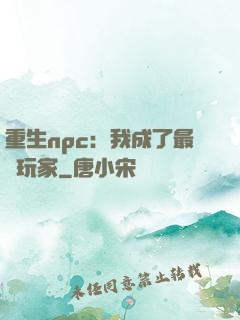 重生npc：我成了最強玩家