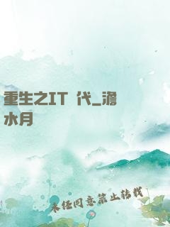 重生之IT時代