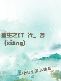 重生之IT時代