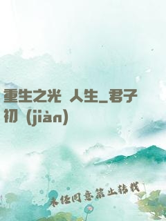 重生之光輝人生