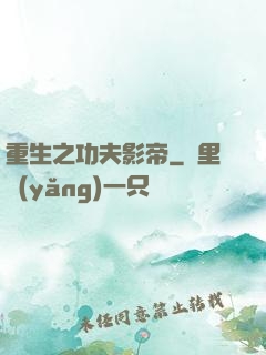 重生之功夫影帝