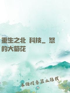 重生之北國科技
