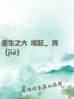 重生之大廠崛起