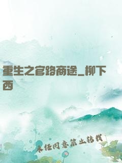 重生之官路商途