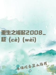 重生之崛起2008