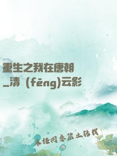 重生之我在唐朝賣絲襪