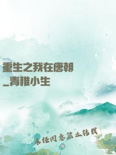 重生之我在唐朝賣絲襪