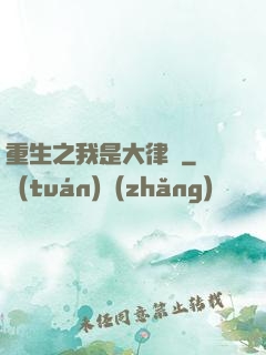 重生之我是大律師
