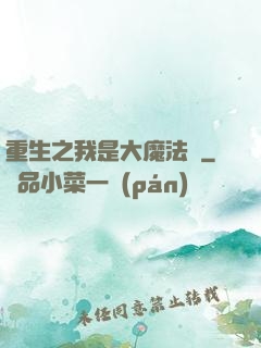 重生之我是大魔法師