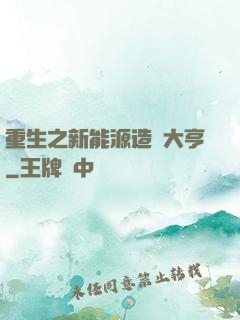 重生之新能源造車大亨