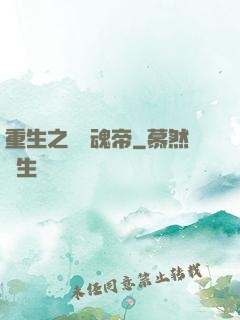 重生之無雙魂帝