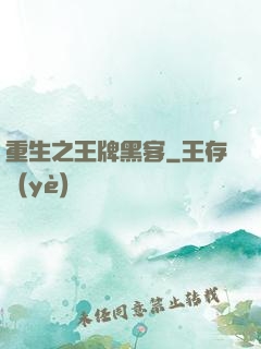 重生之王牌黑客