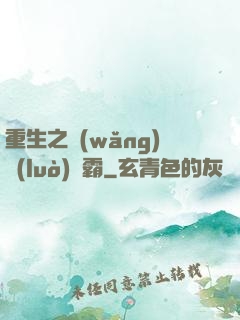 重生之網(wǎng)絡(luò)爭霸