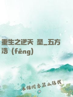重生之逆天盜圣