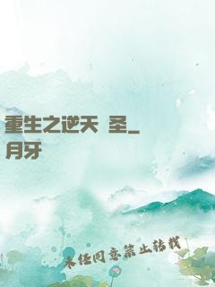 重生之逆天盜圣