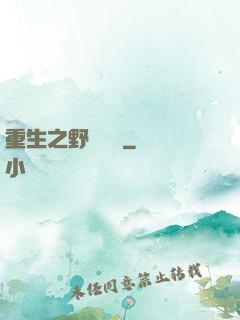 重生之野蠻盜賊