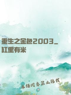 重生之金色2003