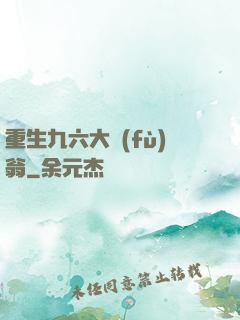 重生九六大負(fù)翁