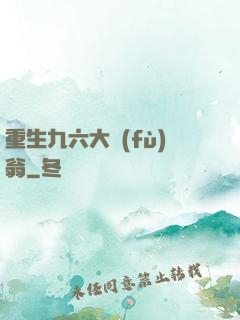 重生九六大負(fù)翁