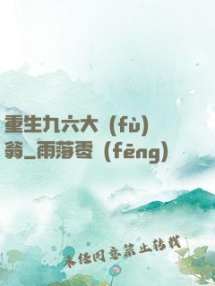重生九六大負(fù)翁