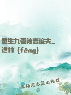 重生九零辣妻追夫