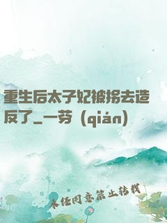 重生后太子妃被拐去造反了